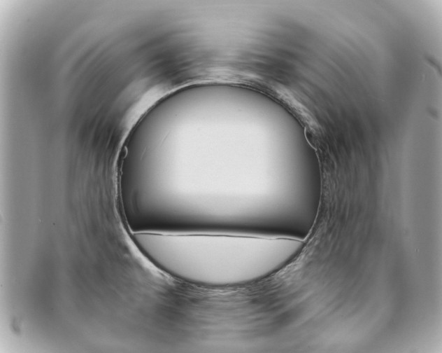 X0000094221479200710260943