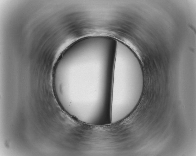 X0000094221480200710260943