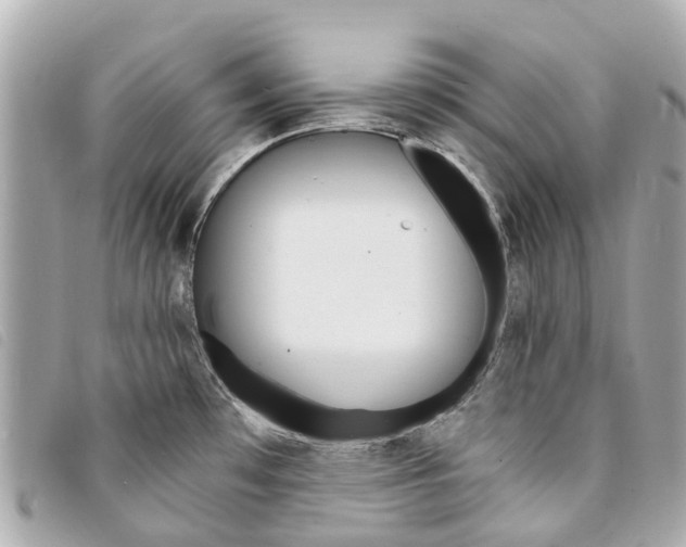 X0000094221481200710260943