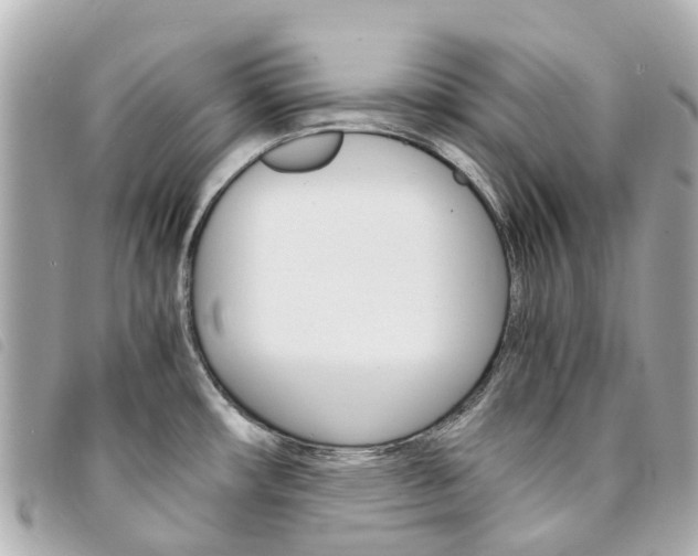 X0000094221482200710260943