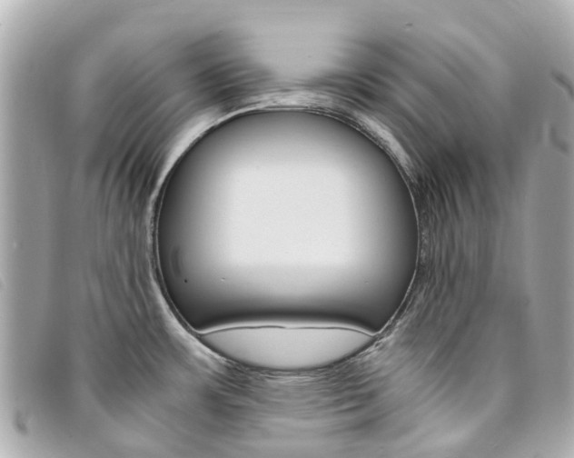 X0000094221483200710260943