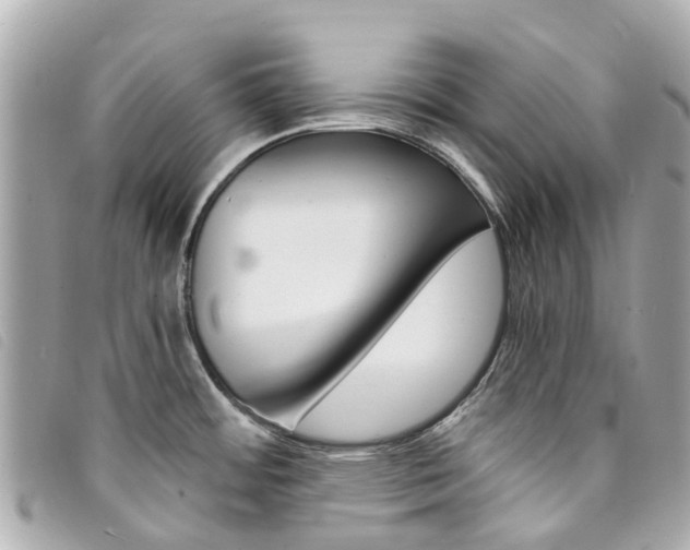 X0000094221484200710260943