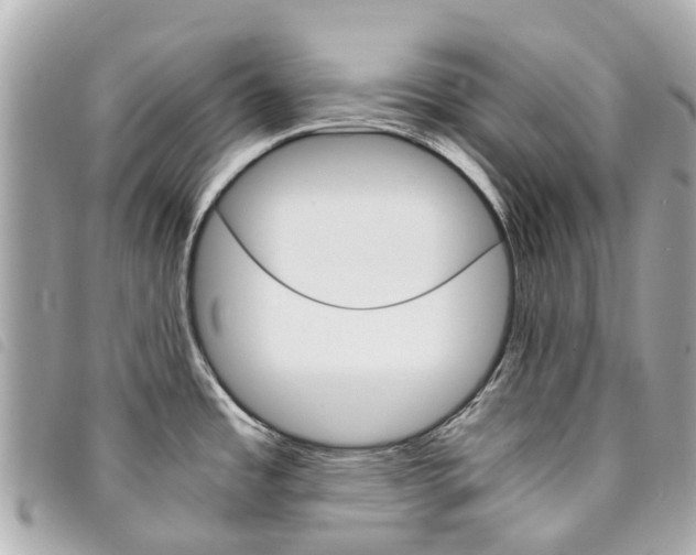 X0000094221485200710260943