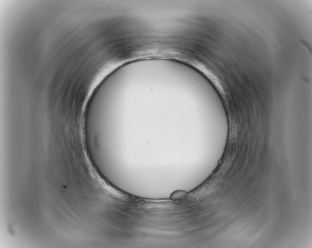 X0000094221486200710260943