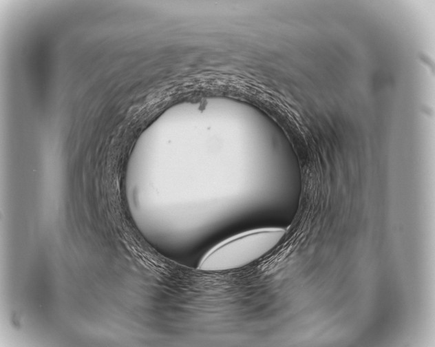 X0000094221489200710260943