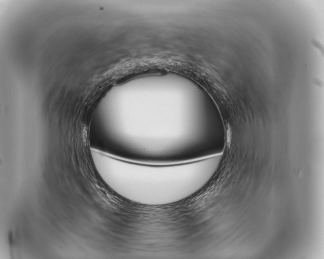 X0000094221492200710260943