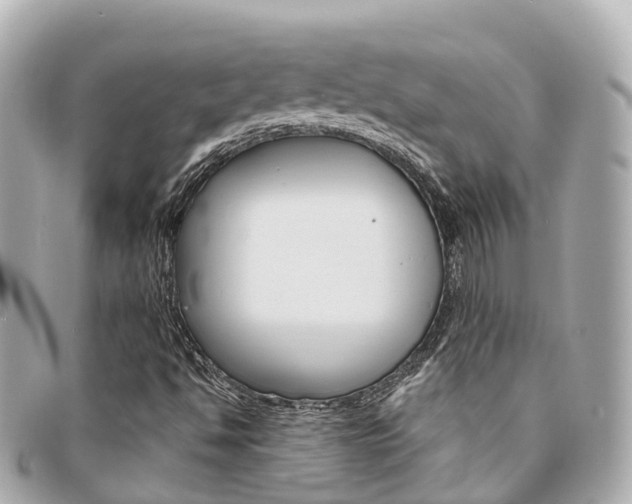 X0000094221494200710260943