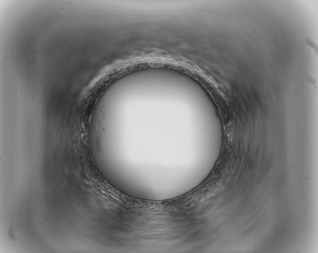 X0000094221495200710260943