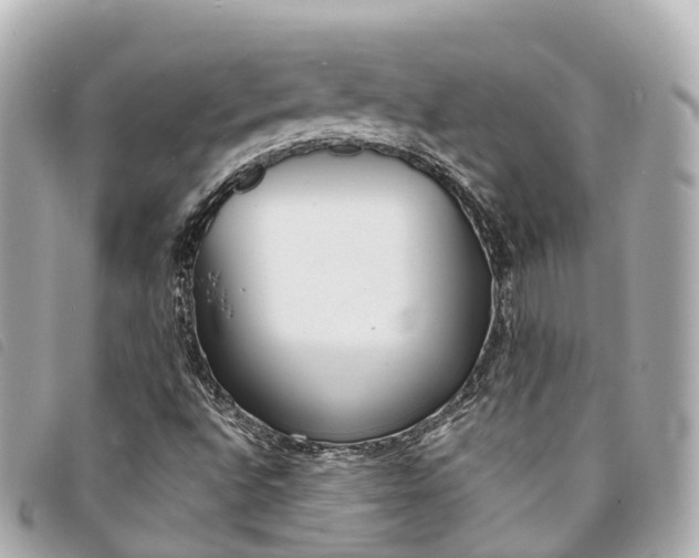 X0000094221496200710260943