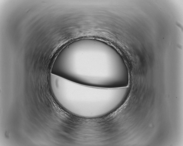X0000094221497200710260943