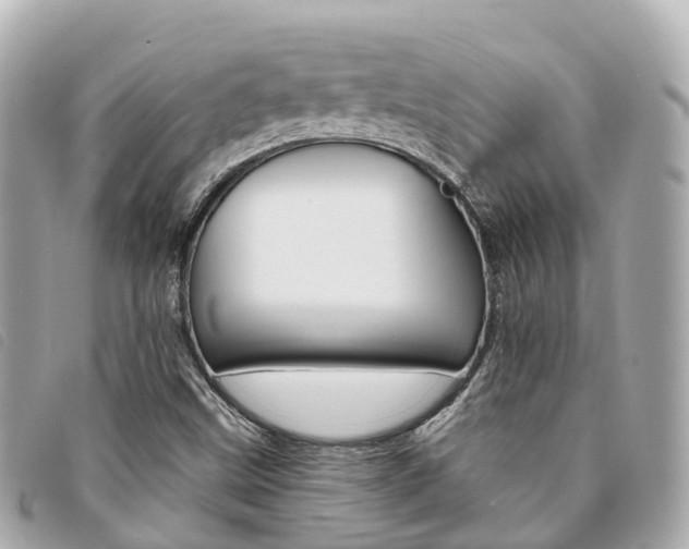 X0000094221499200710260943