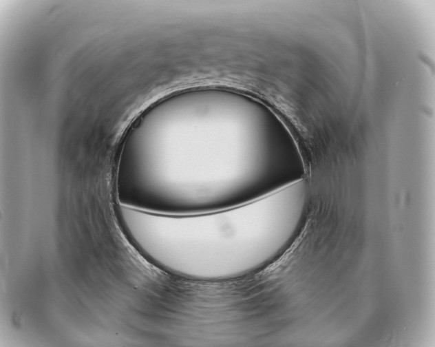X0000094221500200710260943