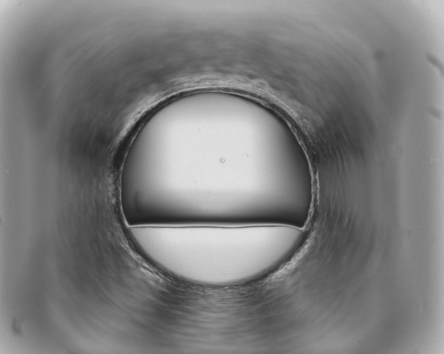 X0000094221501200710260943