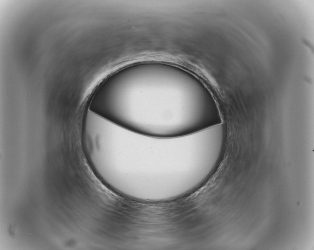 X0000094221504200710260943
