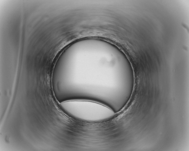 X0000094221505200710260943