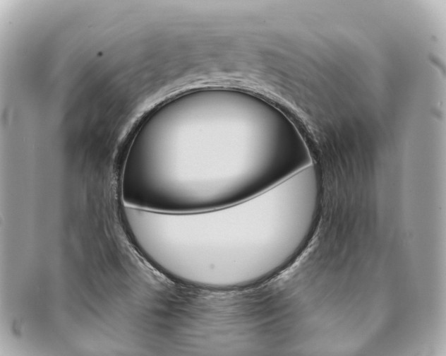 X0000094221506200710260943