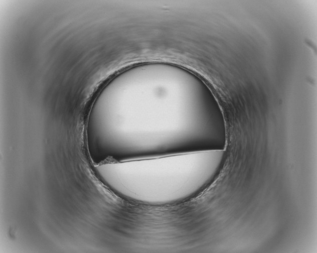 X0000094221507200710260943