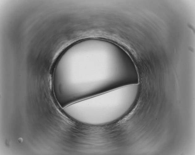 X0000094221509200710260943