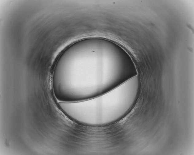 X0000094221510200710260943