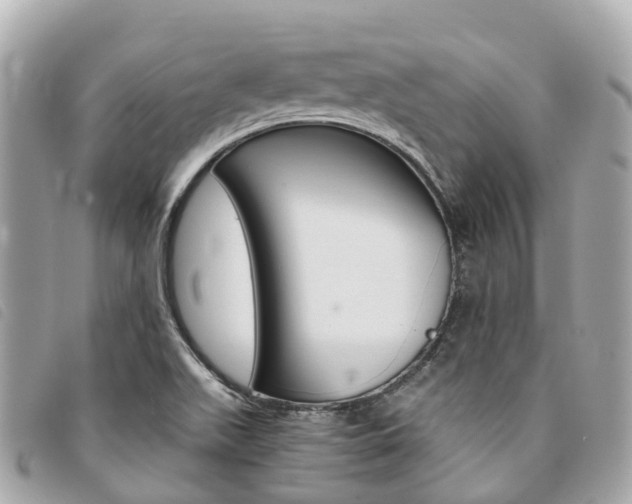 X0000094221511200710260943