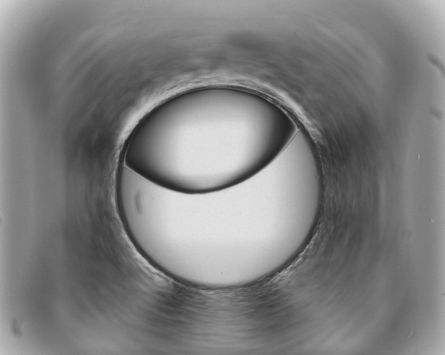 X0000094221512200710260943