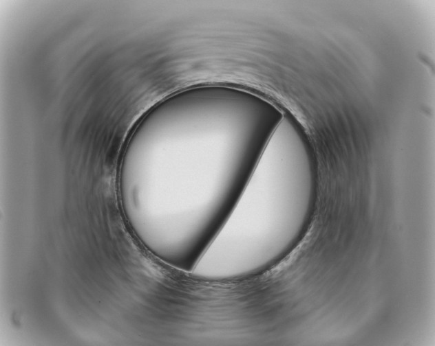 X0000094221513200710260943