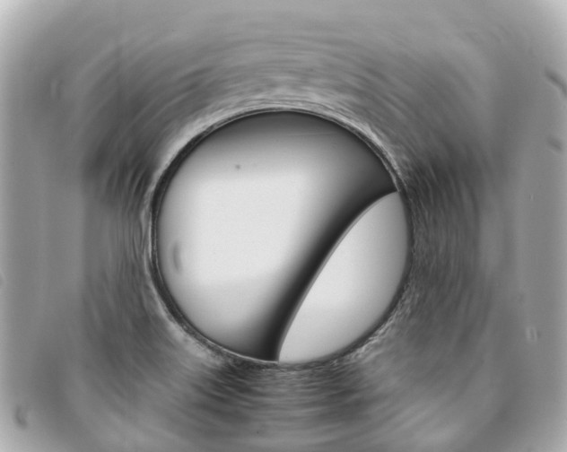 X0000094221515200710260943