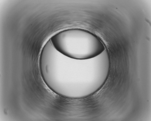 X0000094221516200710260943