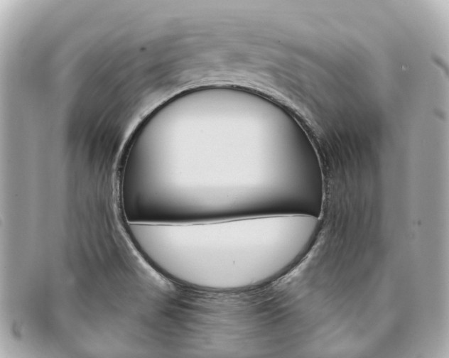 X0000094221517200710260943