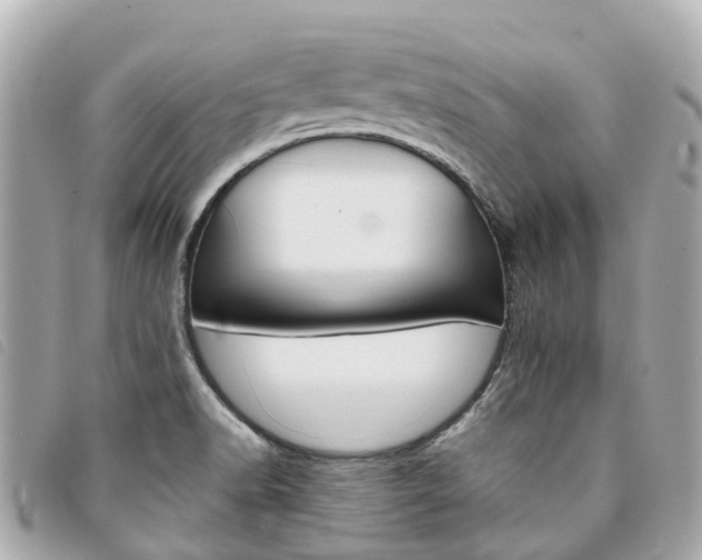 X0000094221518200710260943