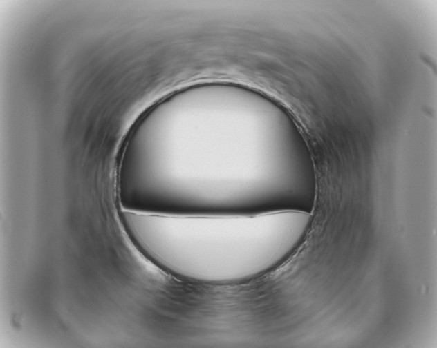 X0000094221519200710260943