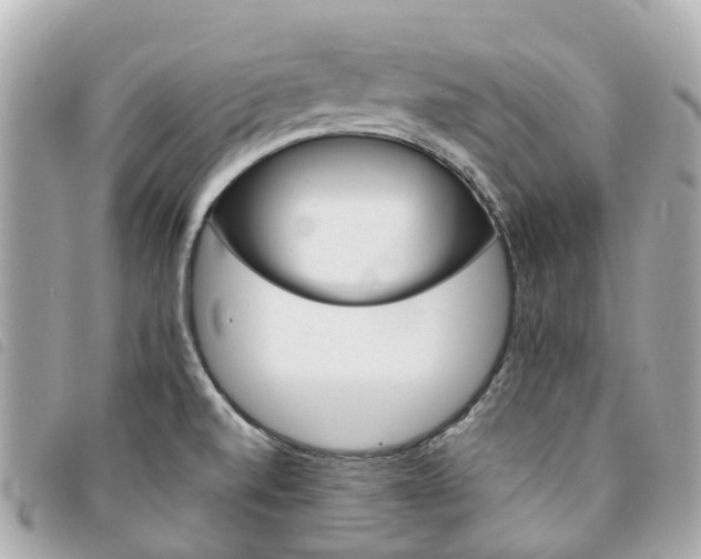 X0000094221520200710260943