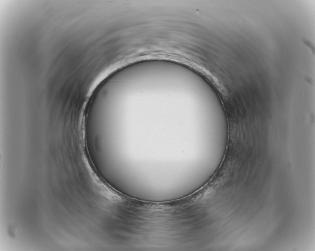 X0000094221522200710260943