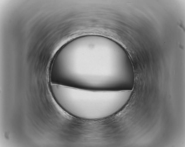 X0000094221523200710260943