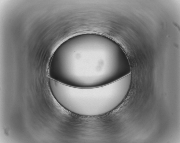 X0000094221524200710260943