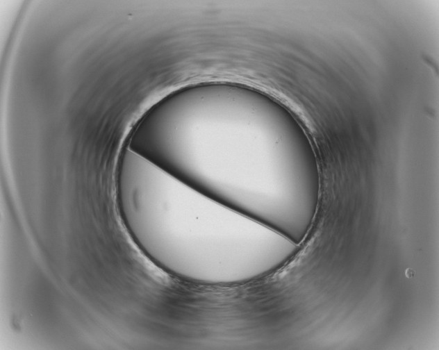 X0000094221525200710260943
