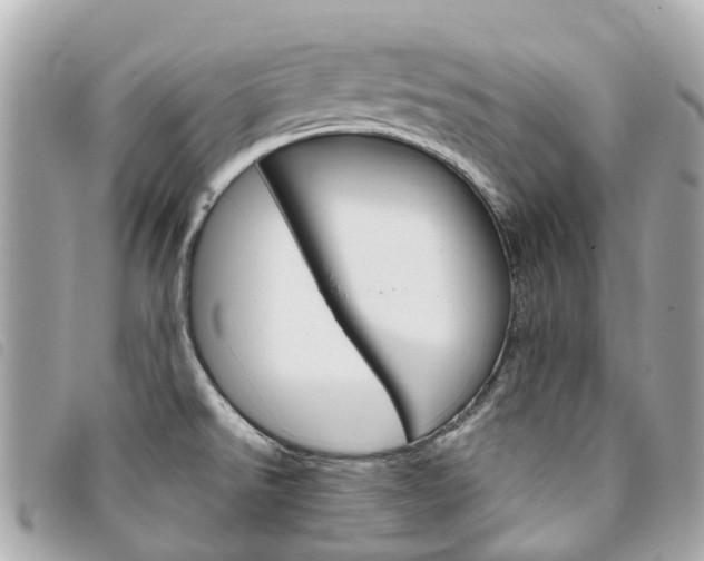 X0000094221526200710260943