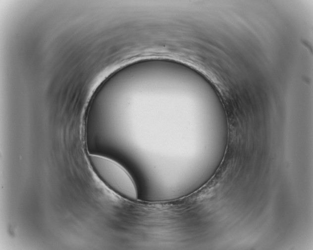 X0000094221527200710260943