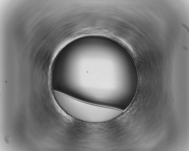 X0000094221528200710260943