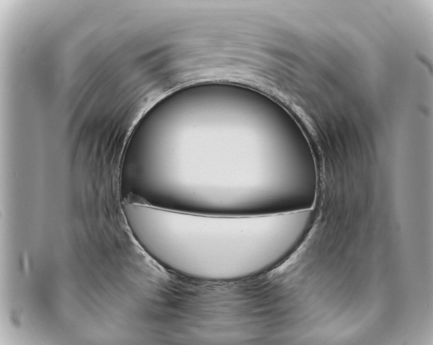 X0000094221529200710260943