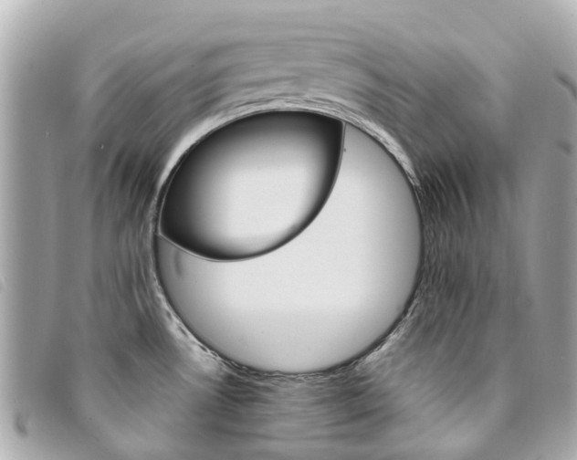 X0000094221530200710260943