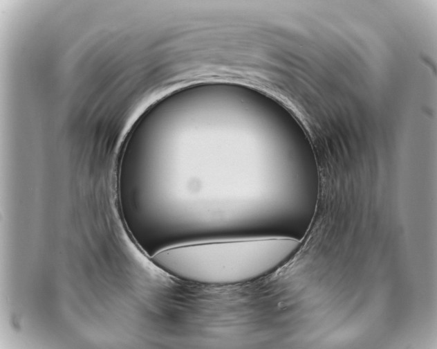 X0000094221531200710260943