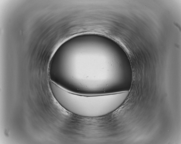 X0000094221532200710260943