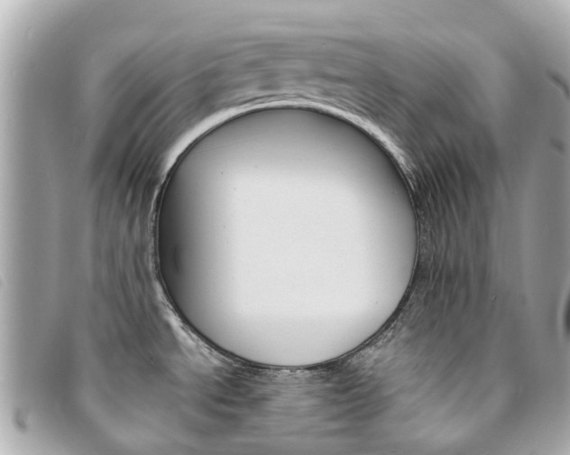 X0000094221534200710260943