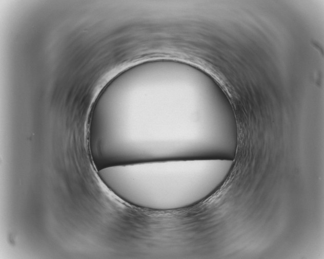 X0000094221535200710260943