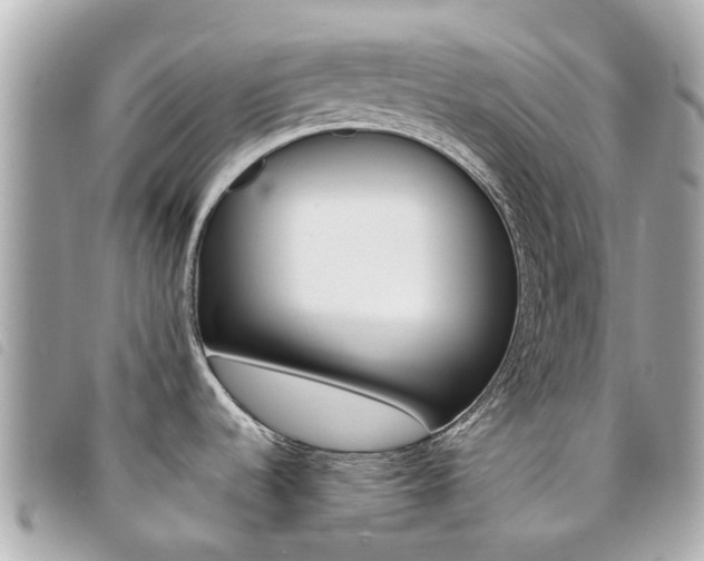 X0000094221536200710260943