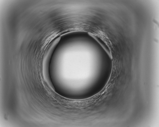 X0000094220001200710261239