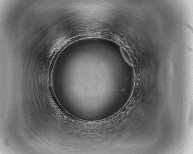 X0000094220002200710261239