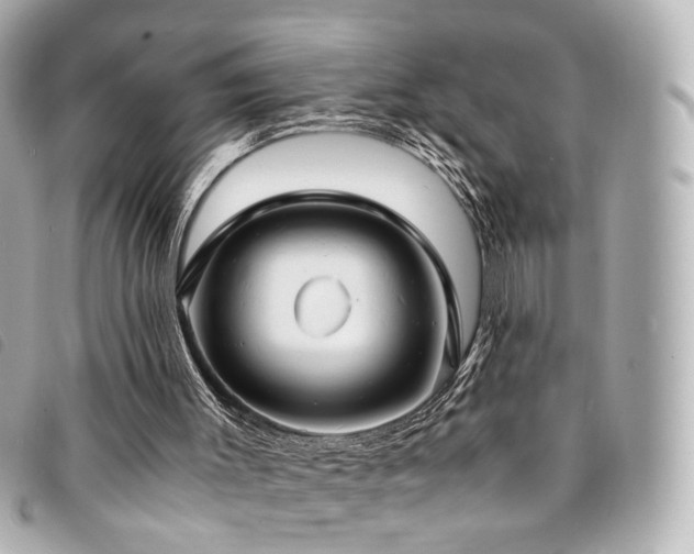 X0000094220003200710261239