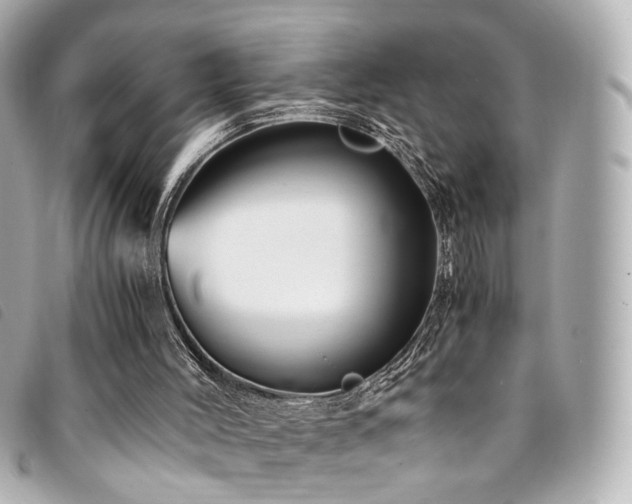 X0000094220004200710261239